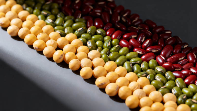 三色豆粒整齐排列图片