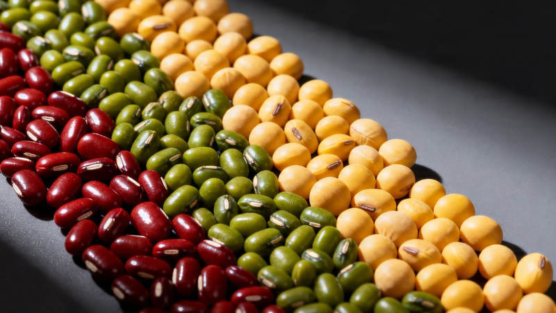 三色豆粒整齐排列图片