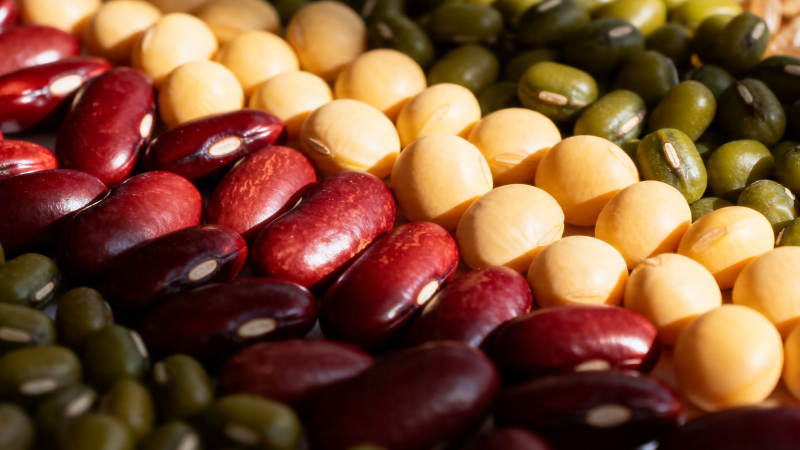 五彩豆类特写 营养丰富图片