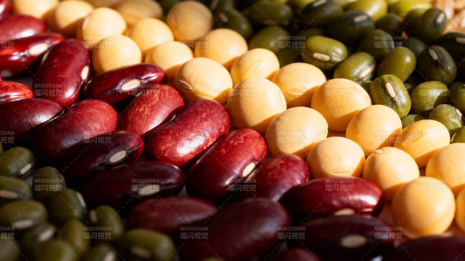 五彩豆类特写 营养丰富图片