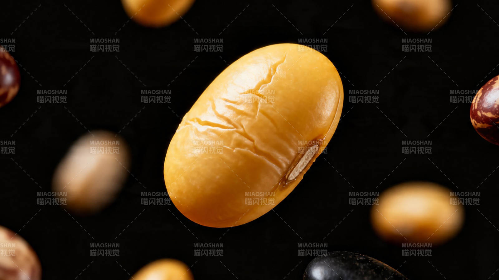 黄豆特写 背景散豆点缀图片