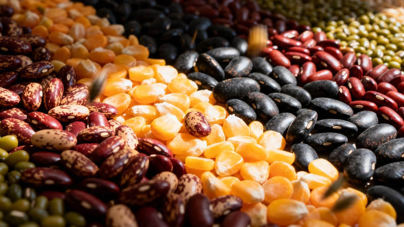五彩豆类盛宴图片