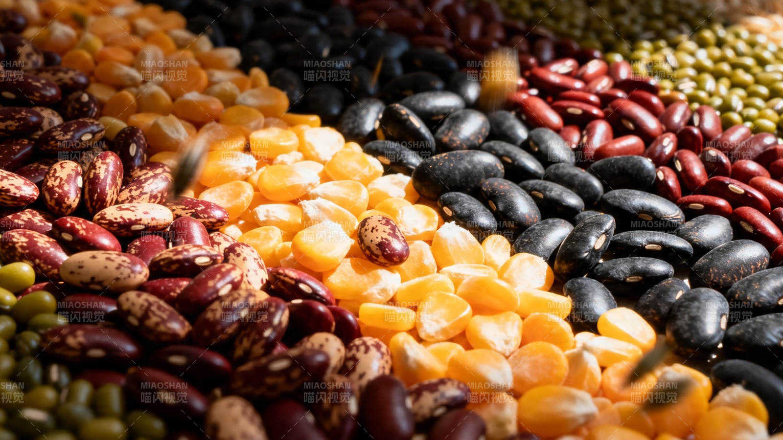 五彩豆类盛宴图片