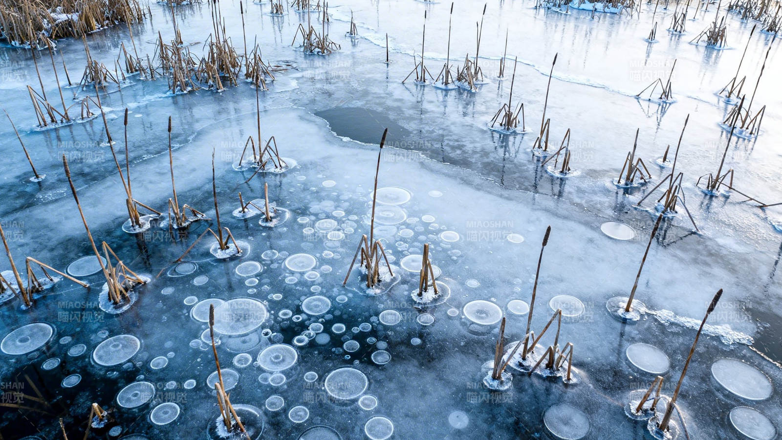 冰湖气泡与枯草冬景图片