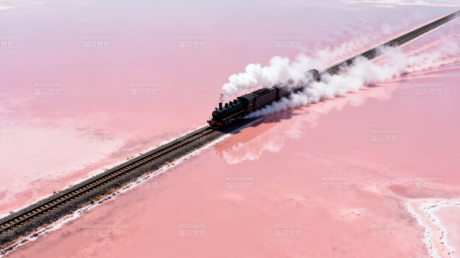 粉红盐湖上的蒸汽火车图片