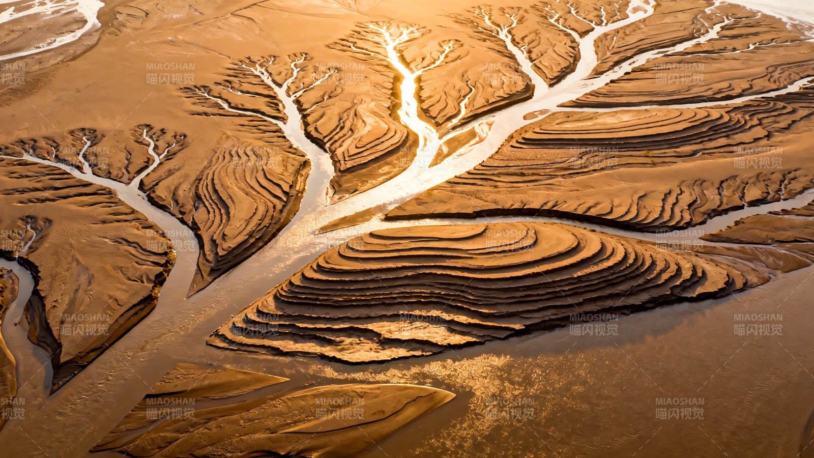 沙海纹路 大地之脉图片