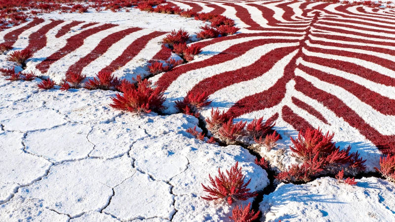 红白条纹裂地奇观图片