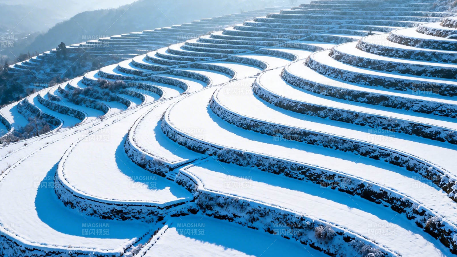 雪覆梯田 曲线如诗图片