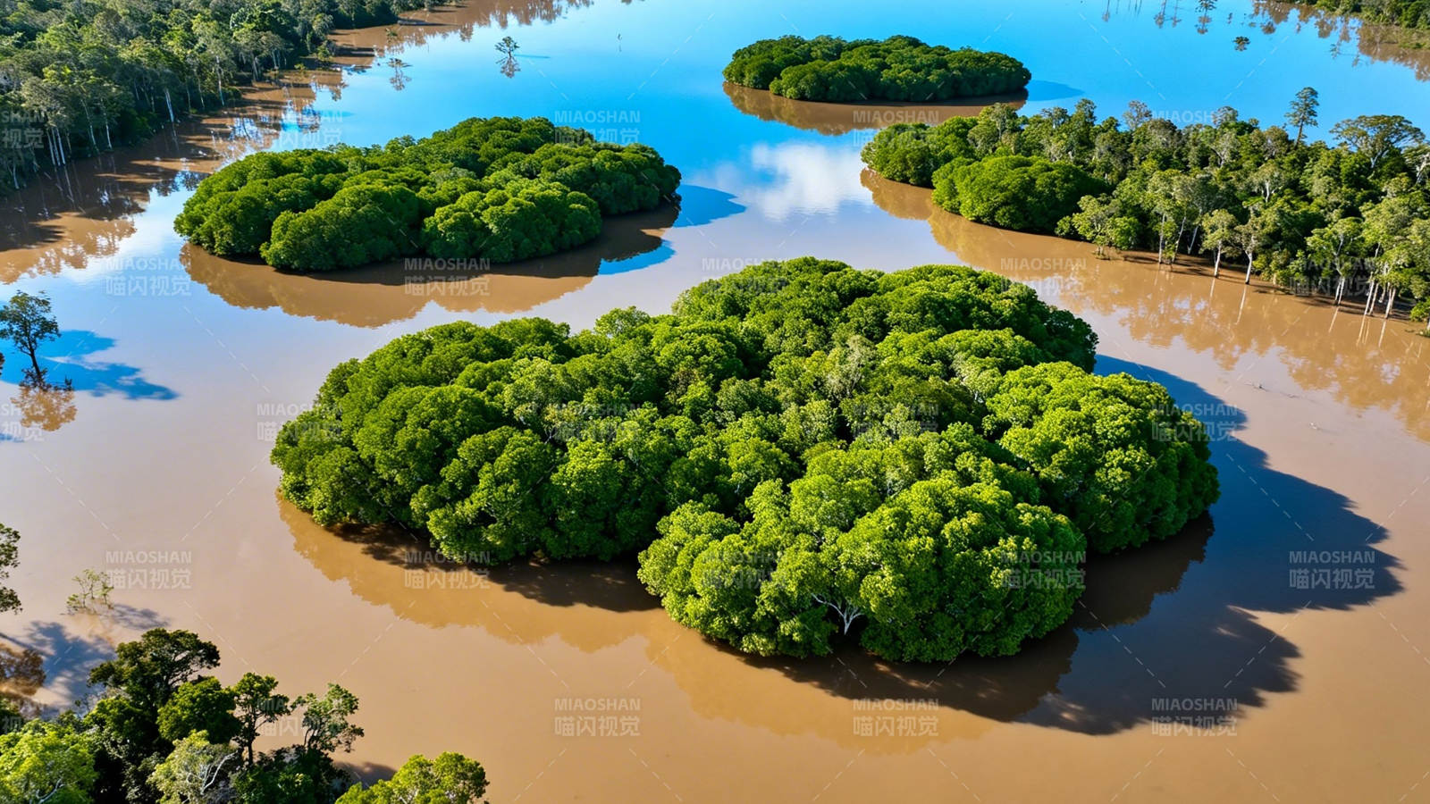 绿岛浮棕水 航拍奇景图片