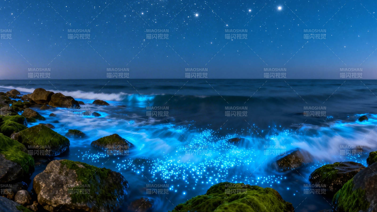 星夜蓝海 荧光浪涌礁石间图片