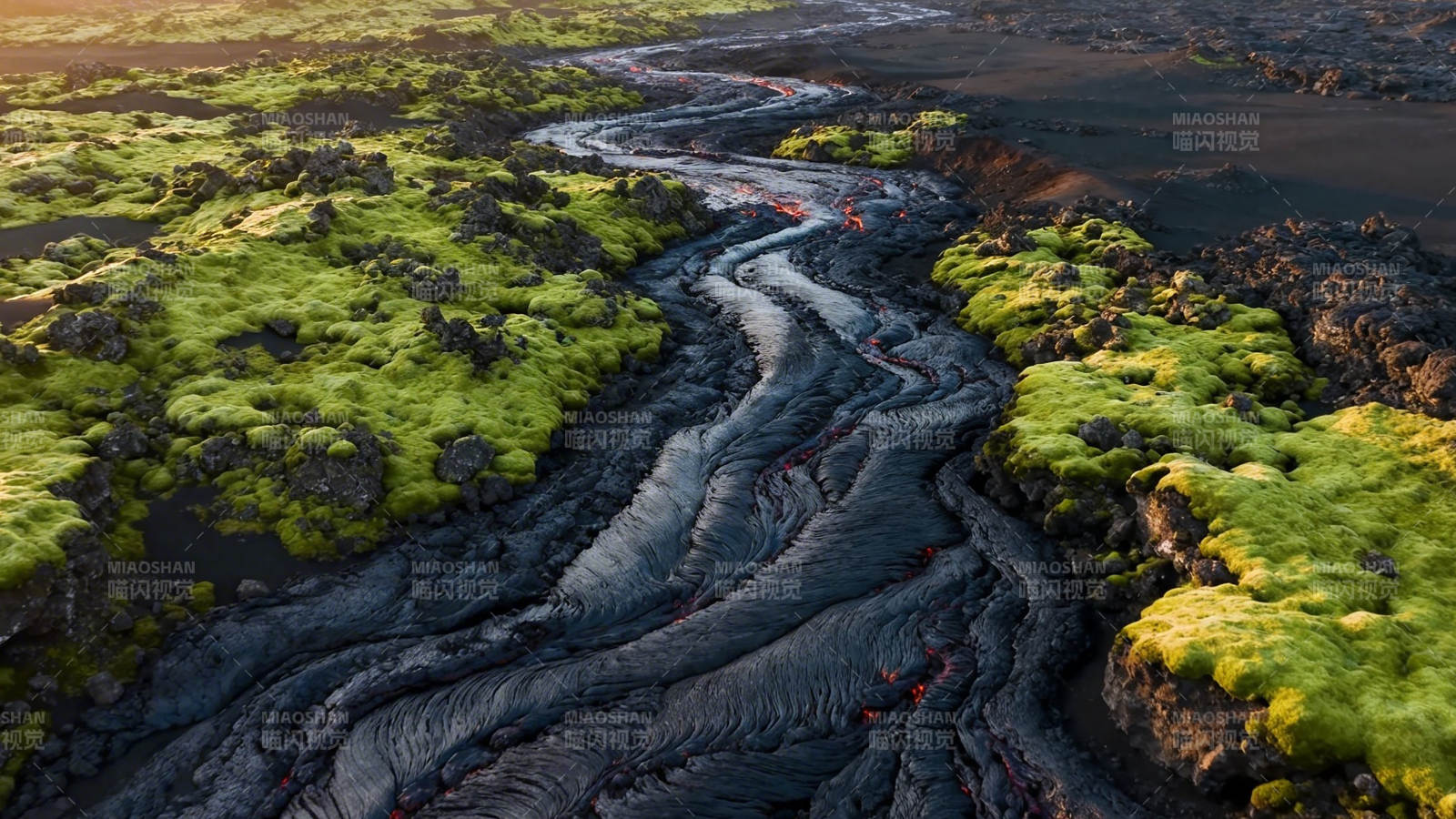 熔岩穿绿野 火与生之歌图片