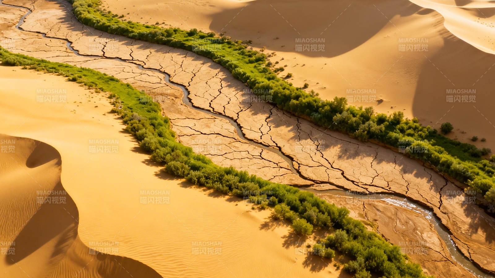 沙漠绿带 生命之河蜿蜒图片