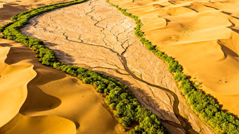 沙漠绿带 生命之河蜿蜒穿行图片