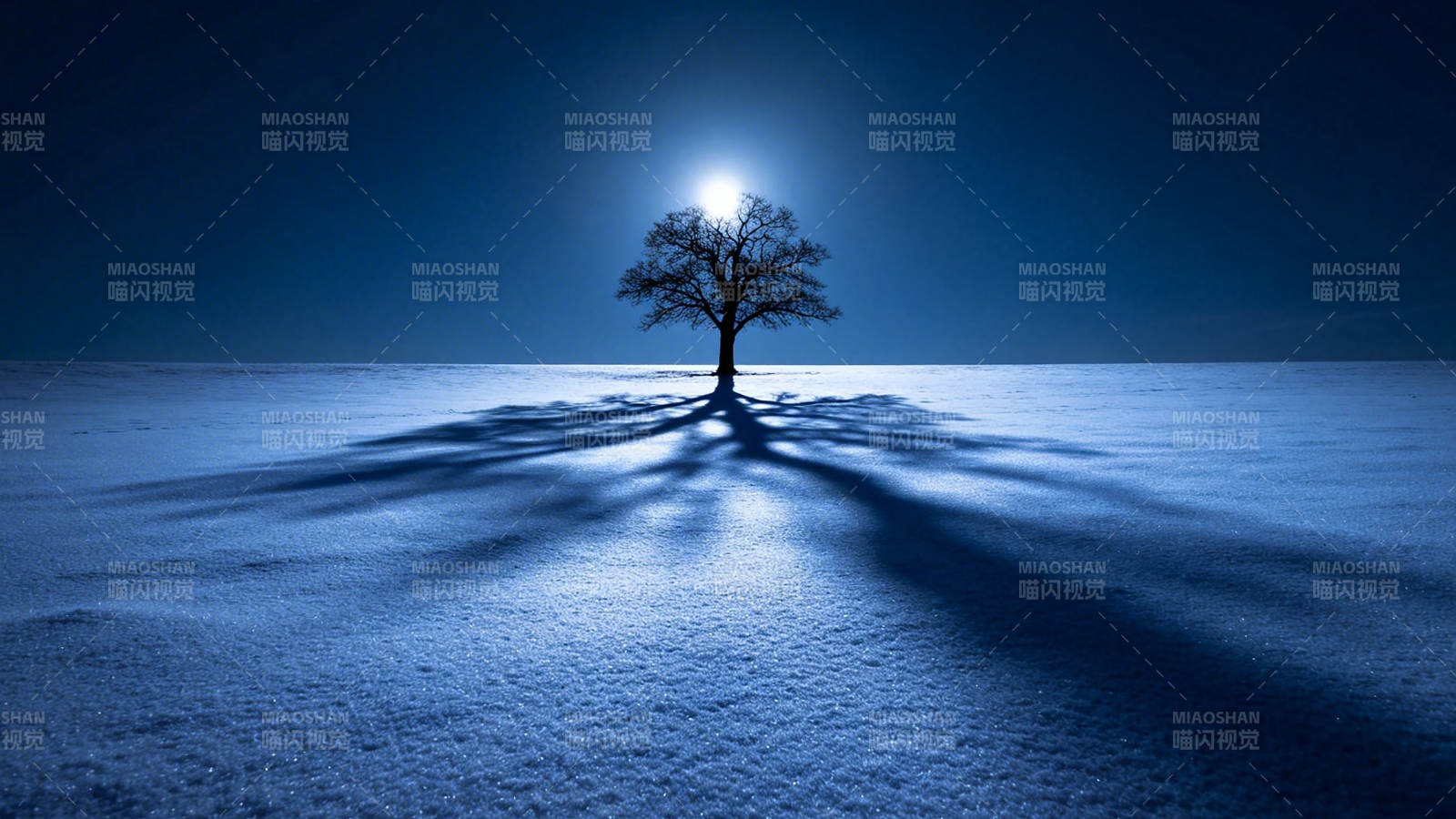 月下雪地孤树影长图片