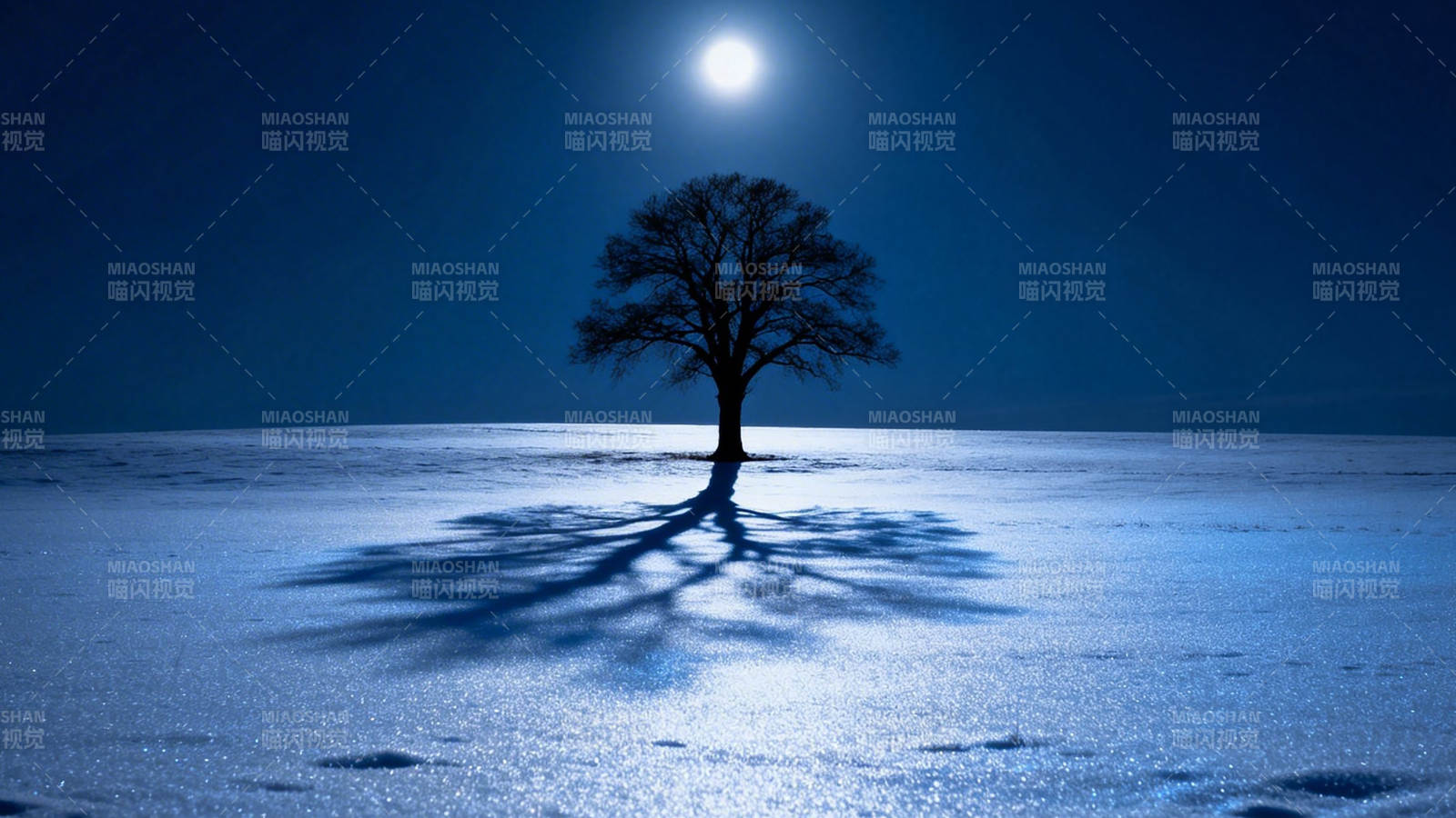 月下雪地孤树影图片