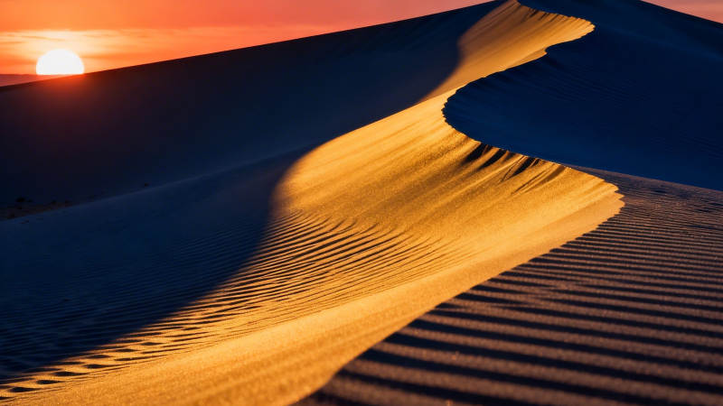夕阳沙丘 金影如绸图片