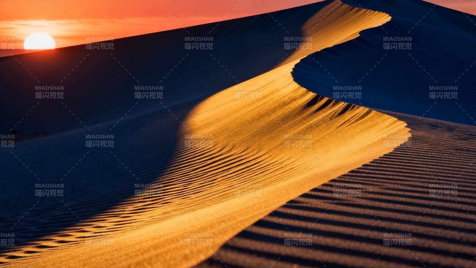 夕阳沙丘 金影如绸图片