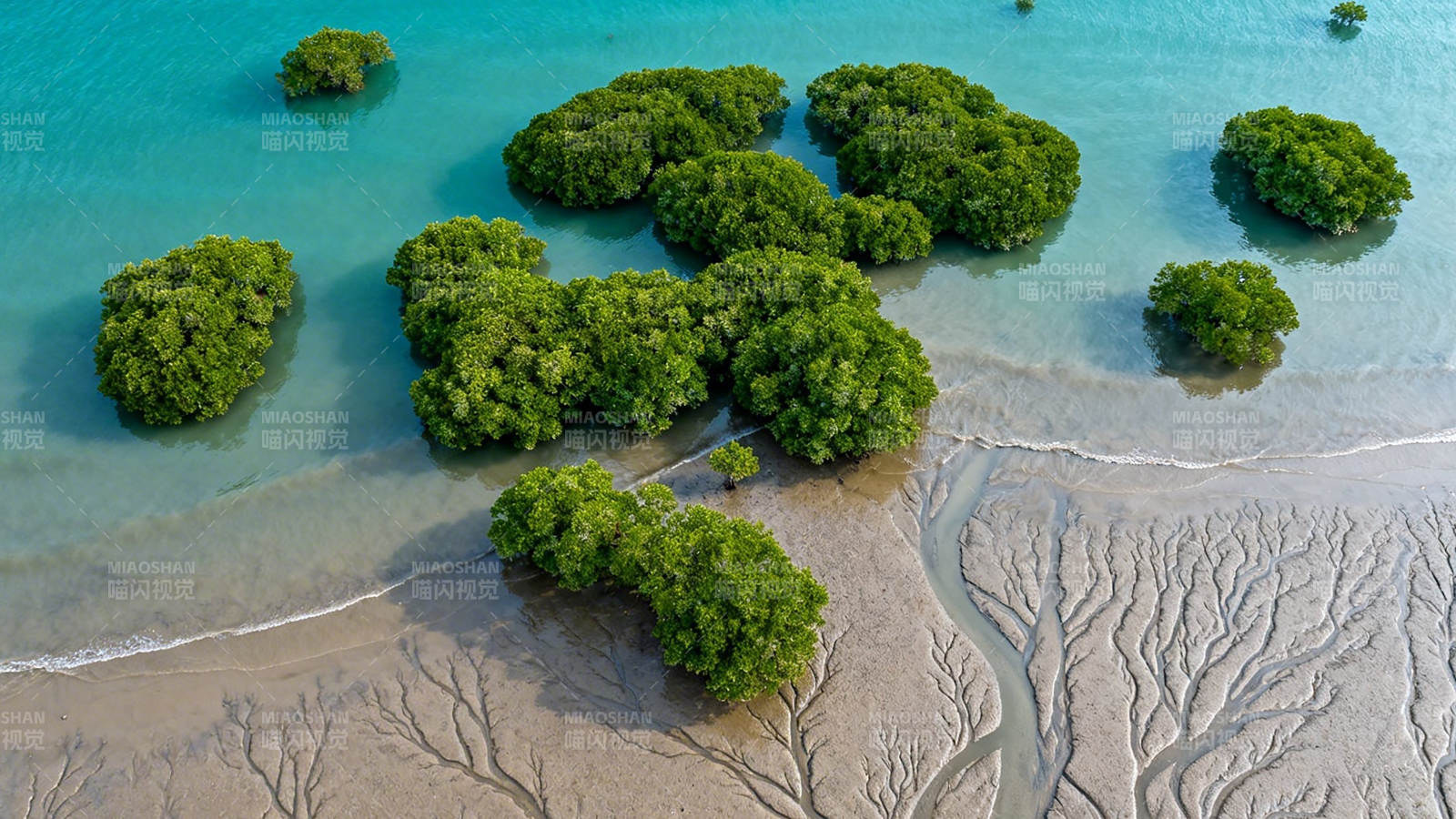 碧海绿岛 潮汐绘沙纹图片