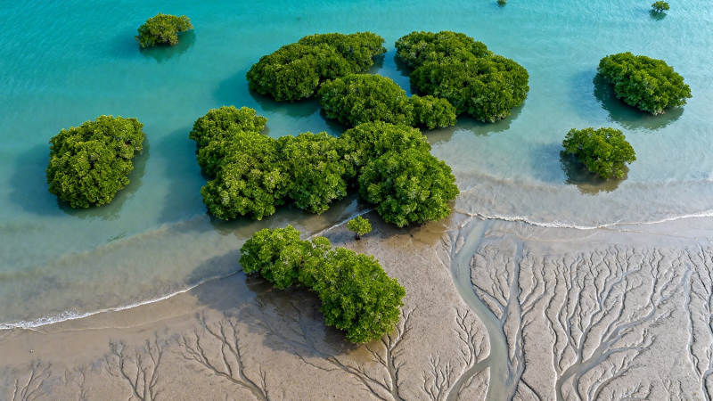 碧海绿岛 潮汐绘沙纹图片