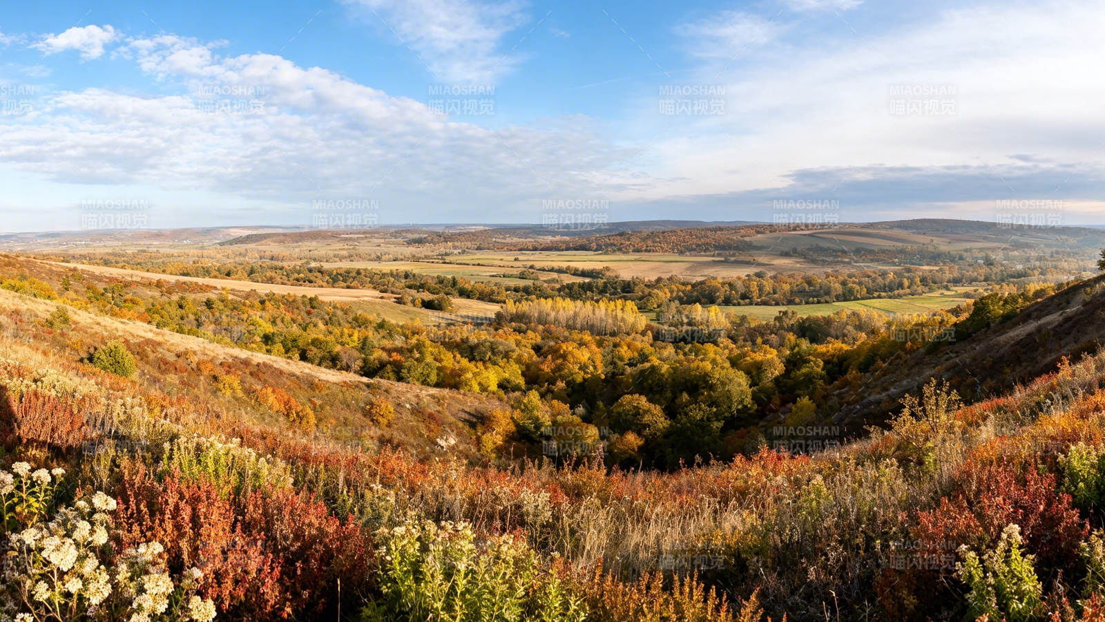 秋色斑斓 山河如画图片