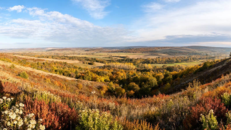 秋色斑斓 山河如画图片