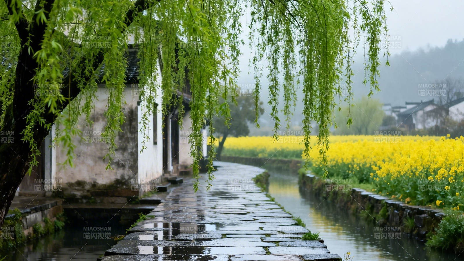 春雨江南 柳绿花黄古巷幽图片