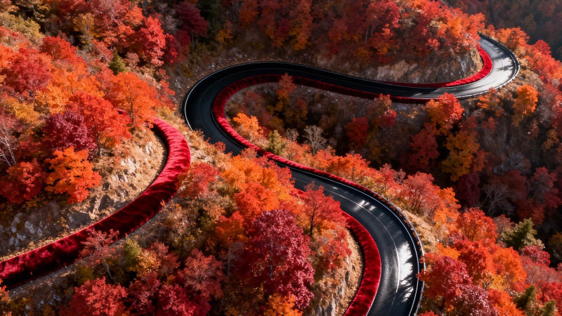 秋山蜿蜒路 红叶醉人心图片