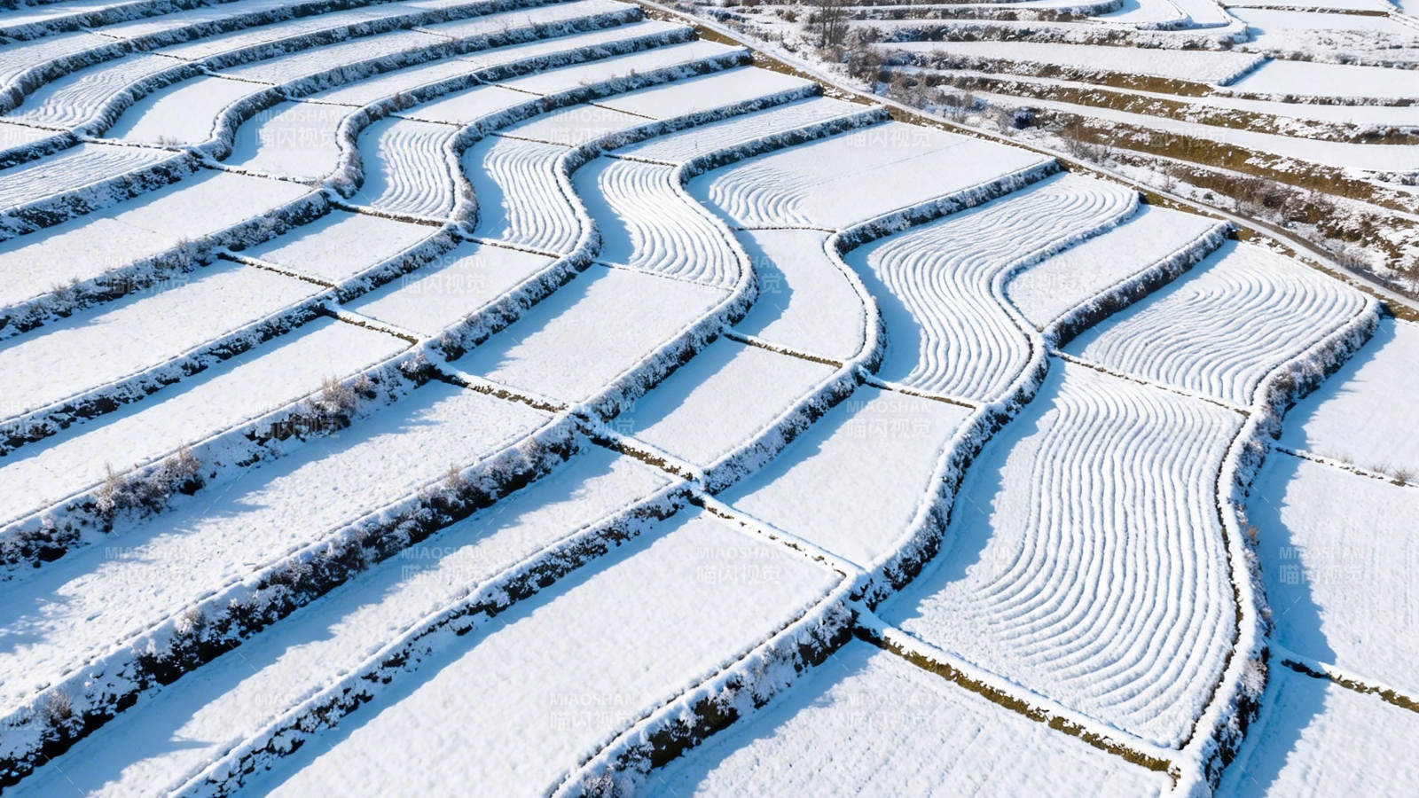 雪覆梯田 蜿蜒如画图片