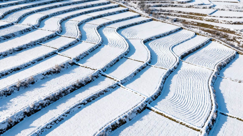 雪覆梯田 蜿蜒如画图片