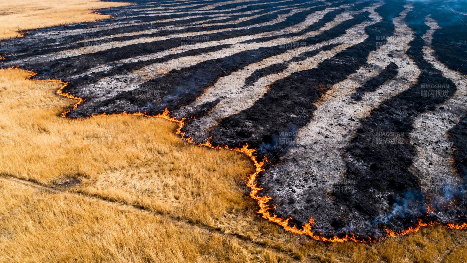 草原火带蜿蜒燃烧中图片