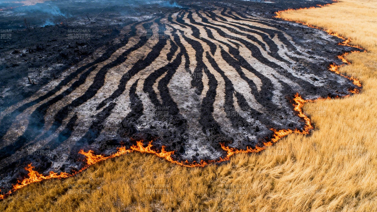 草原火线如斑马纹蔓延图片