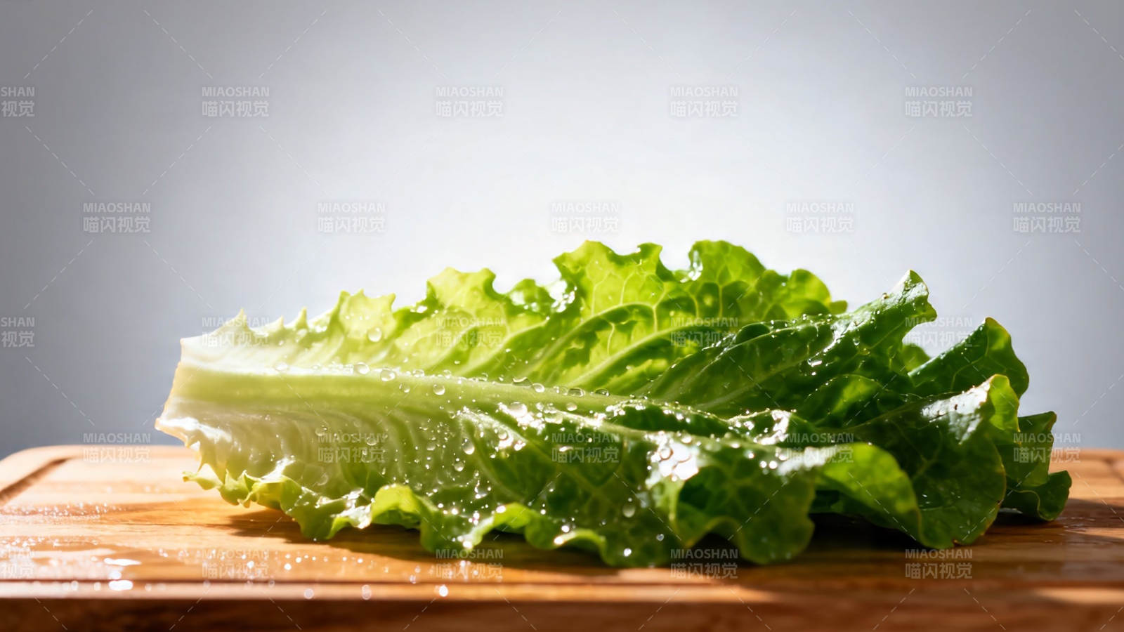 新鲜生菜叶 水珠晶莹欲滴图片