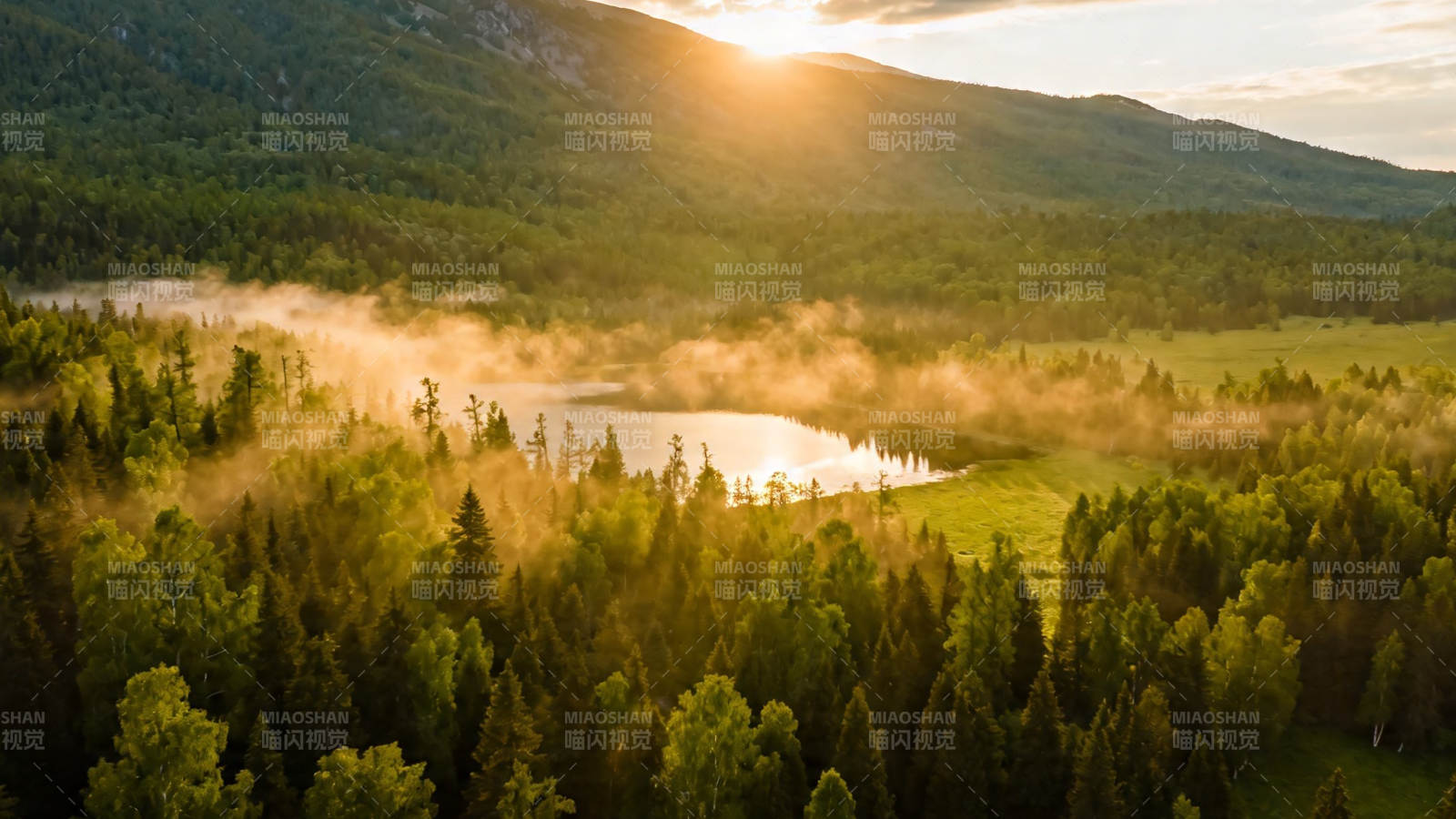 晨雾绕湖 金光洒林间图片