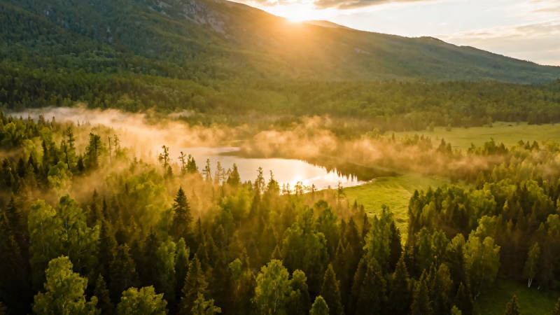 晨雾绕湖 金光洒林间图片