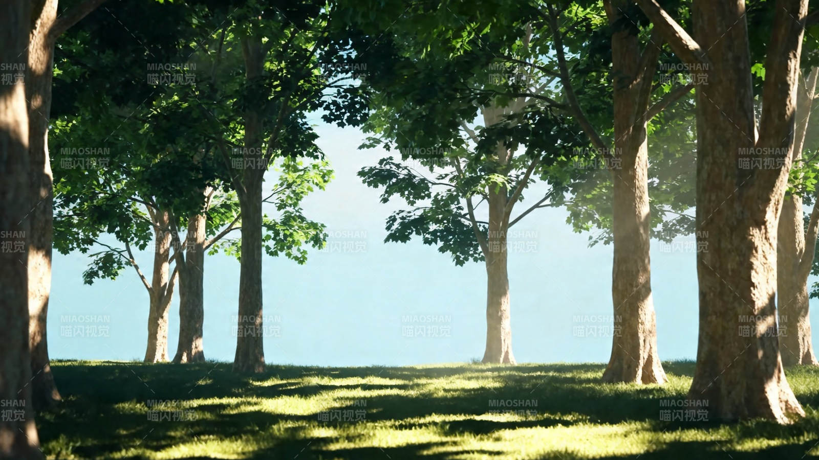 林间光影 静谧绿野图片