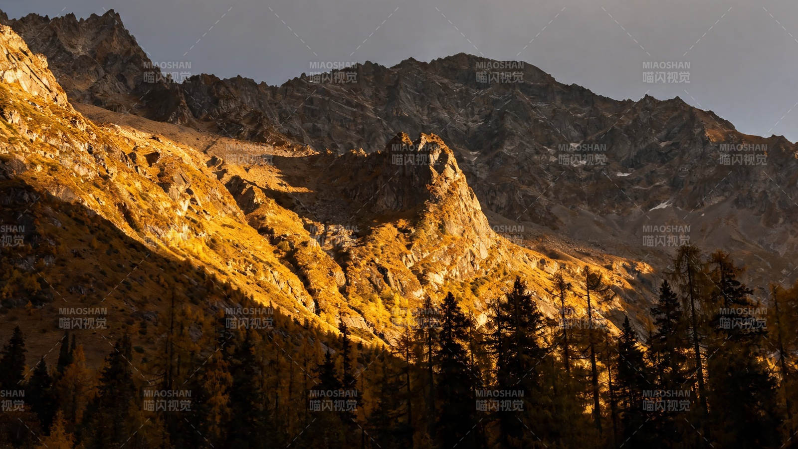 金山映松影 暮色染峰峦图片