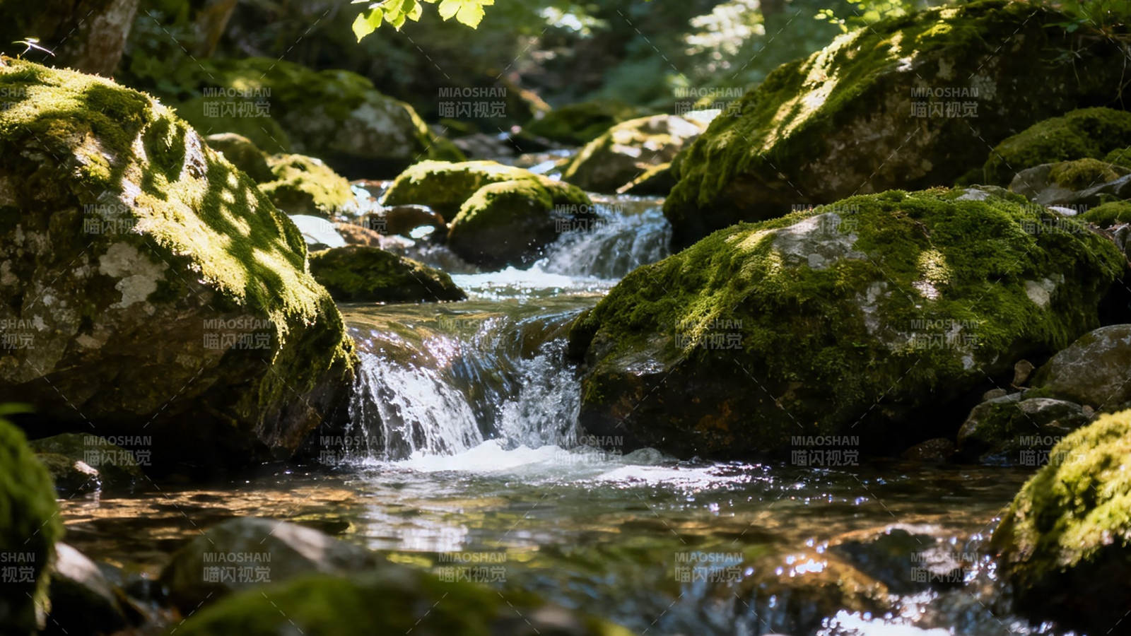 苔石溪流 清幽自然景图片