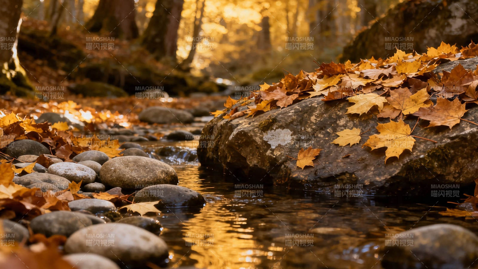 秋溪落叶 石间流金图片