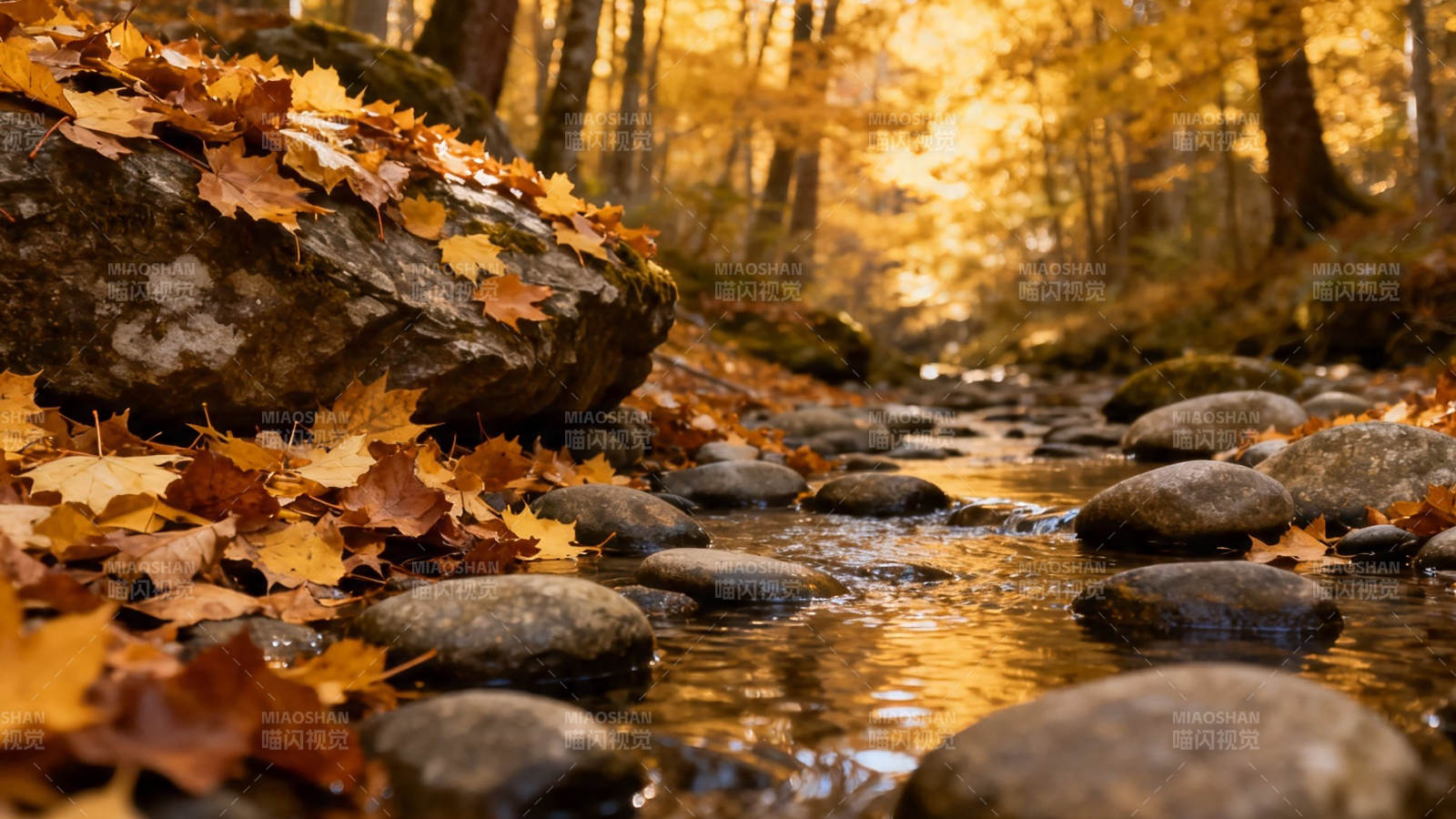 秋溪落叶 石径流金图片