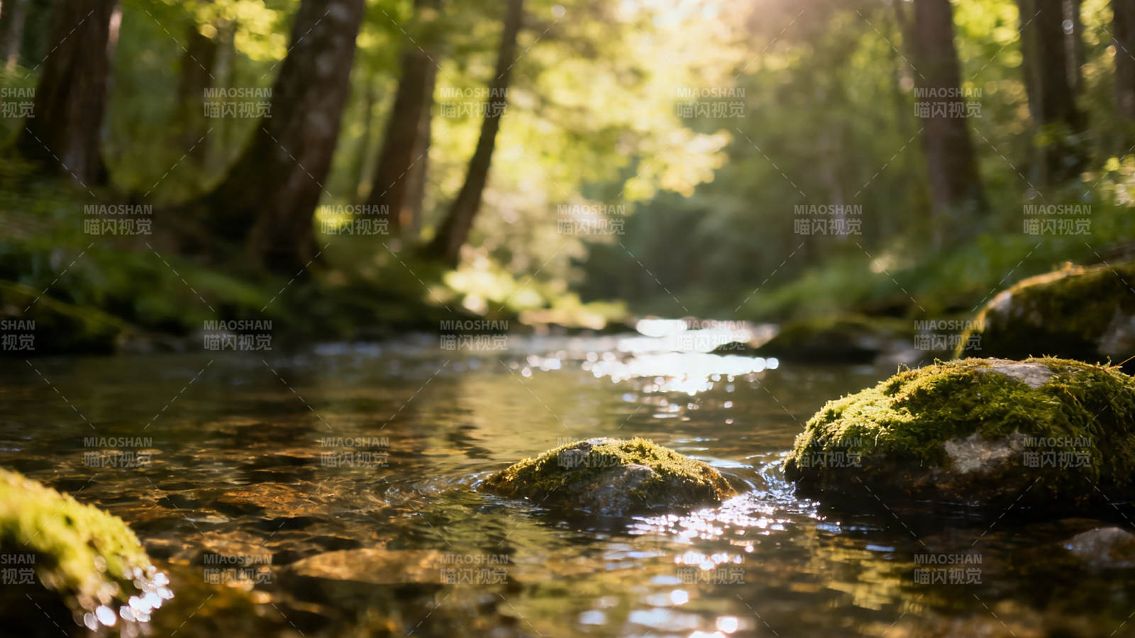 林间溪流 阳光洒落苔石间图片