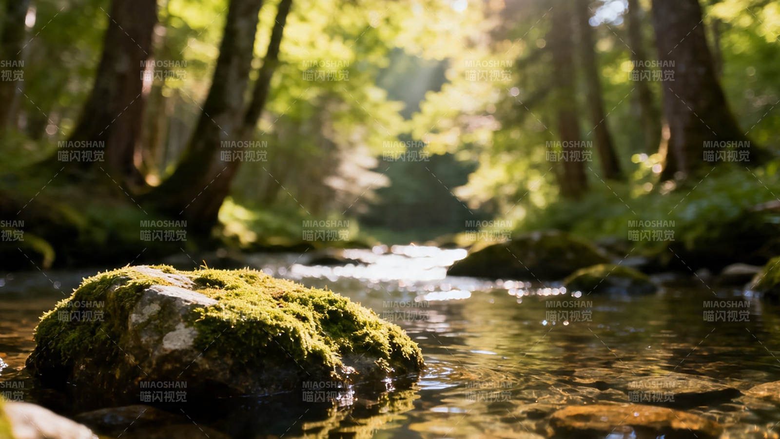 林间溪流 苔石映光图片