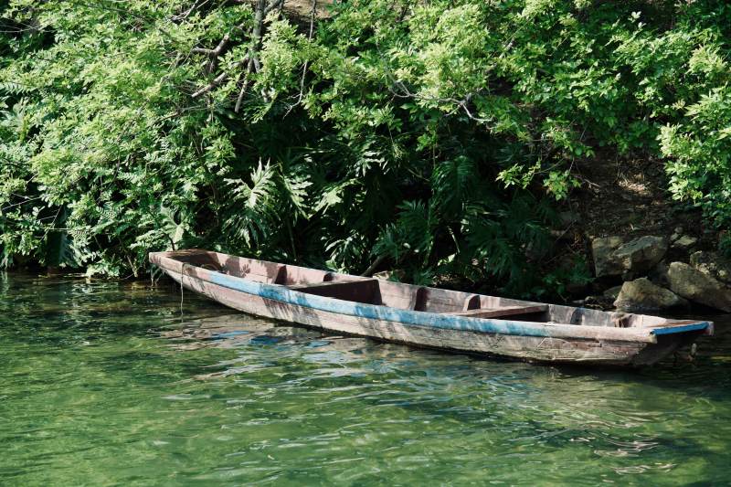 绿荫下静泊的木船图片