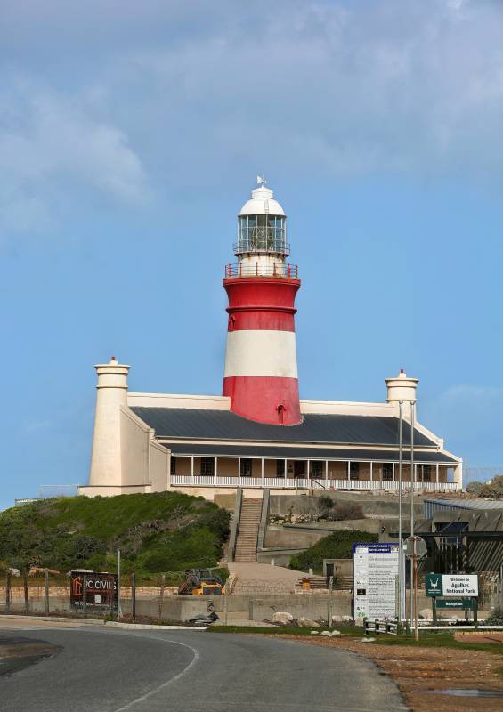 红白灯塔矗立海岸边图片