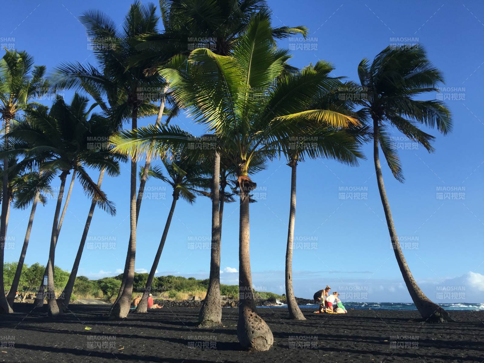夏威夷黑沙滩椰影蓝天度假风图片