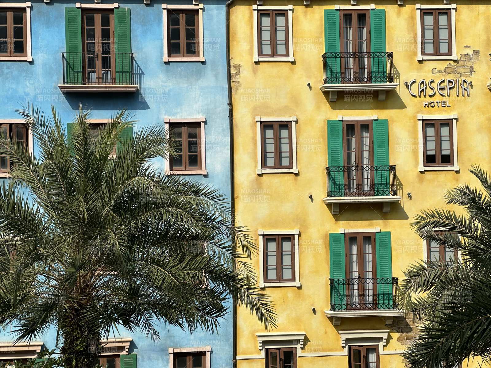 彩色建筑与棕榈树相映成趣图片