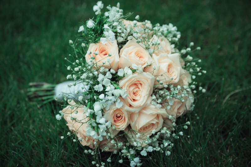 玫瑰与满天星花束图片