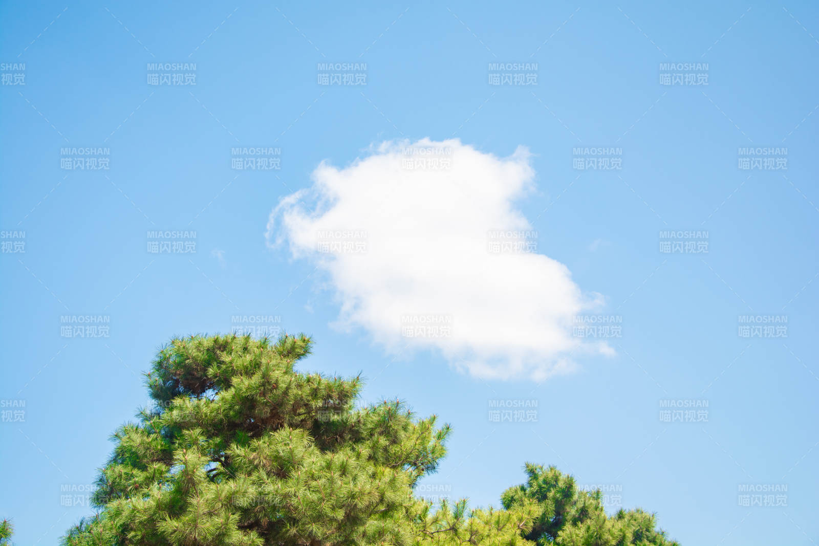 蓝天白云伴绿树图片