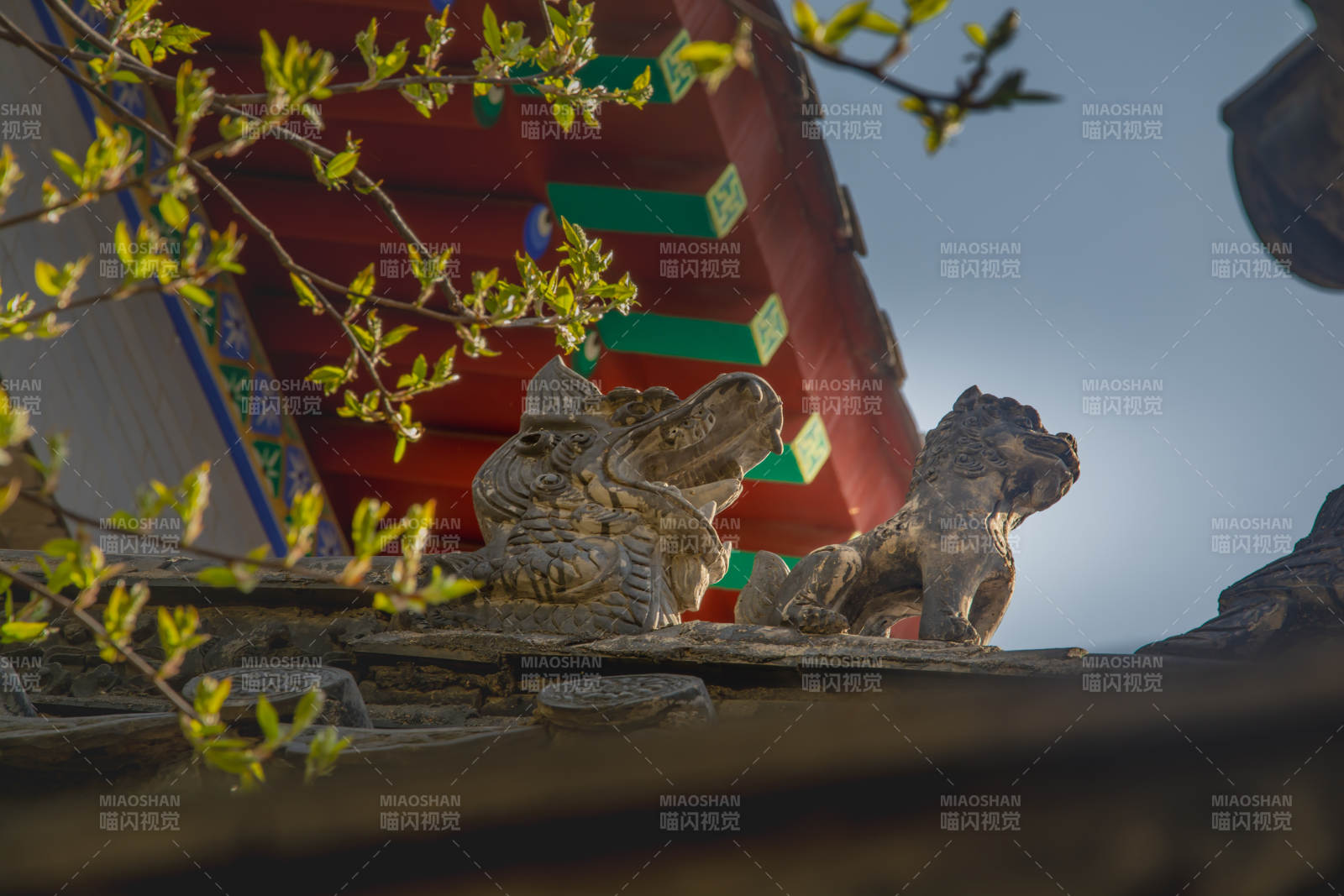 古建屋檐石狮迎春枝图片