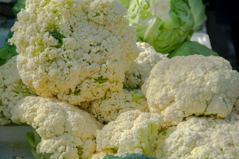 新鲜花椰菜堆叠特写图片