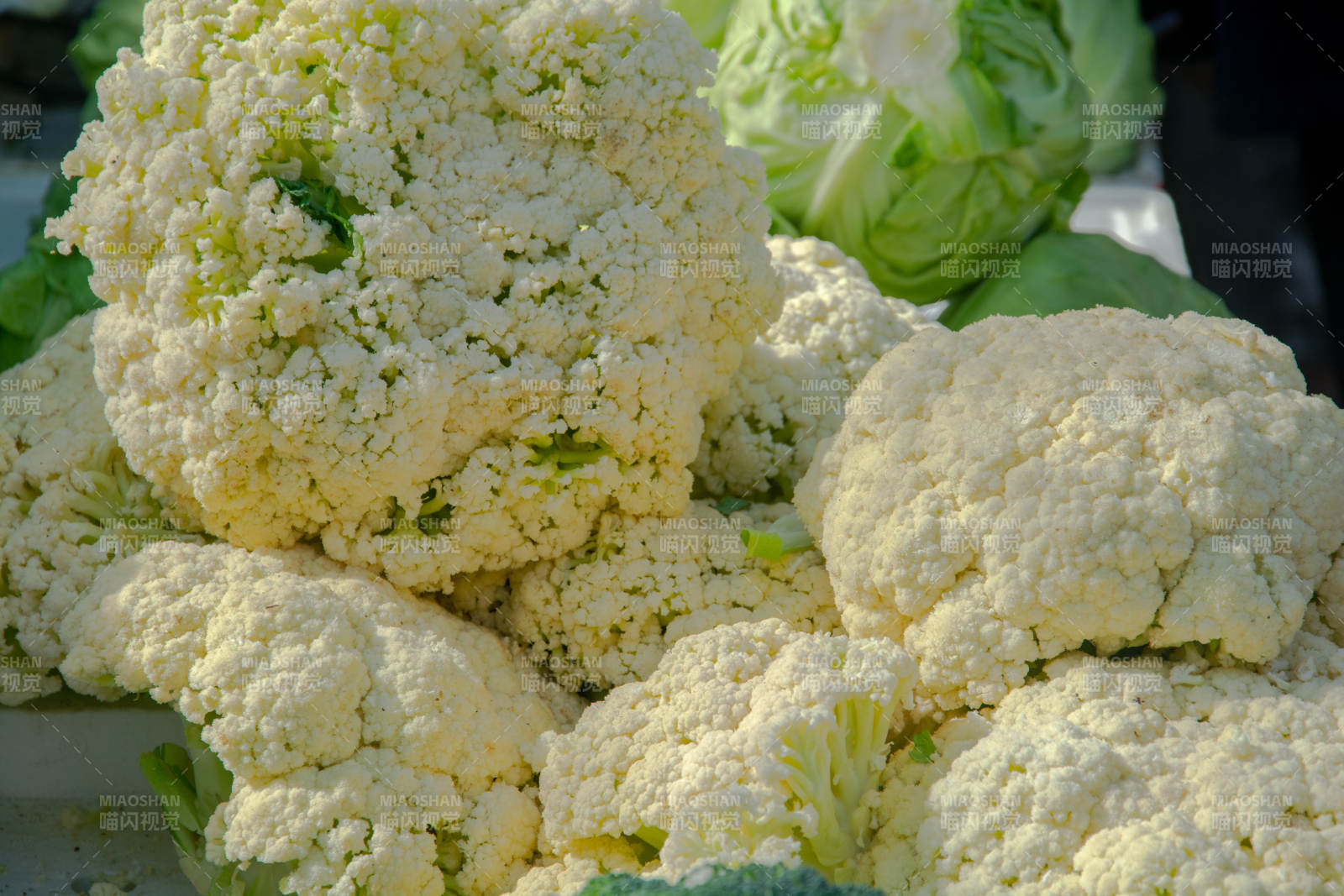 新鲜花椰菜堆叠特写图片
